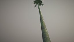 Bamboo tree