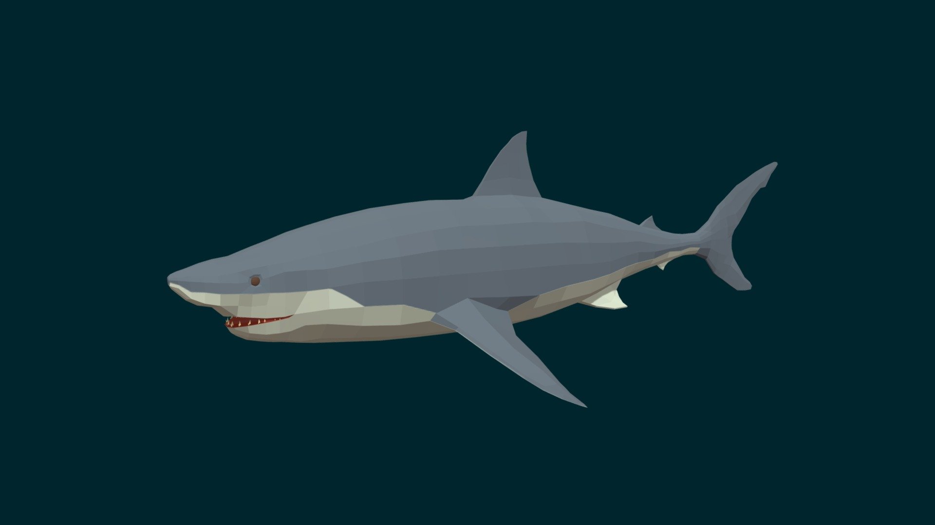 Great White Shark 3d model