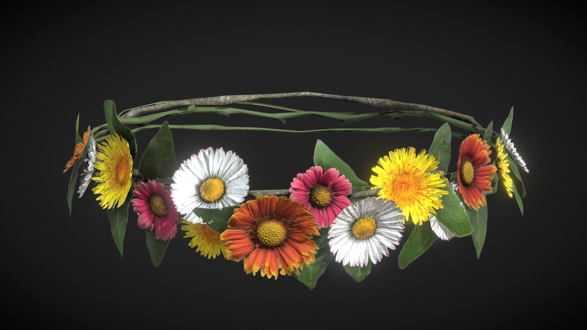 Gerbera Dandelion Daisy Flower Crown 3d model