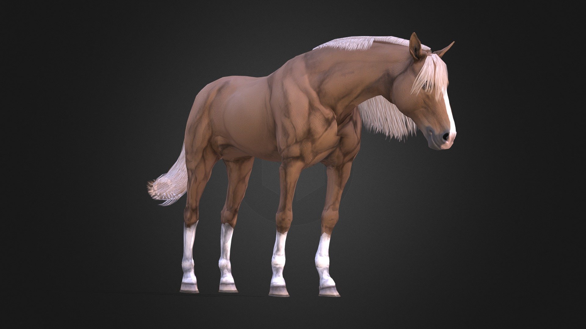 Horse 3d model