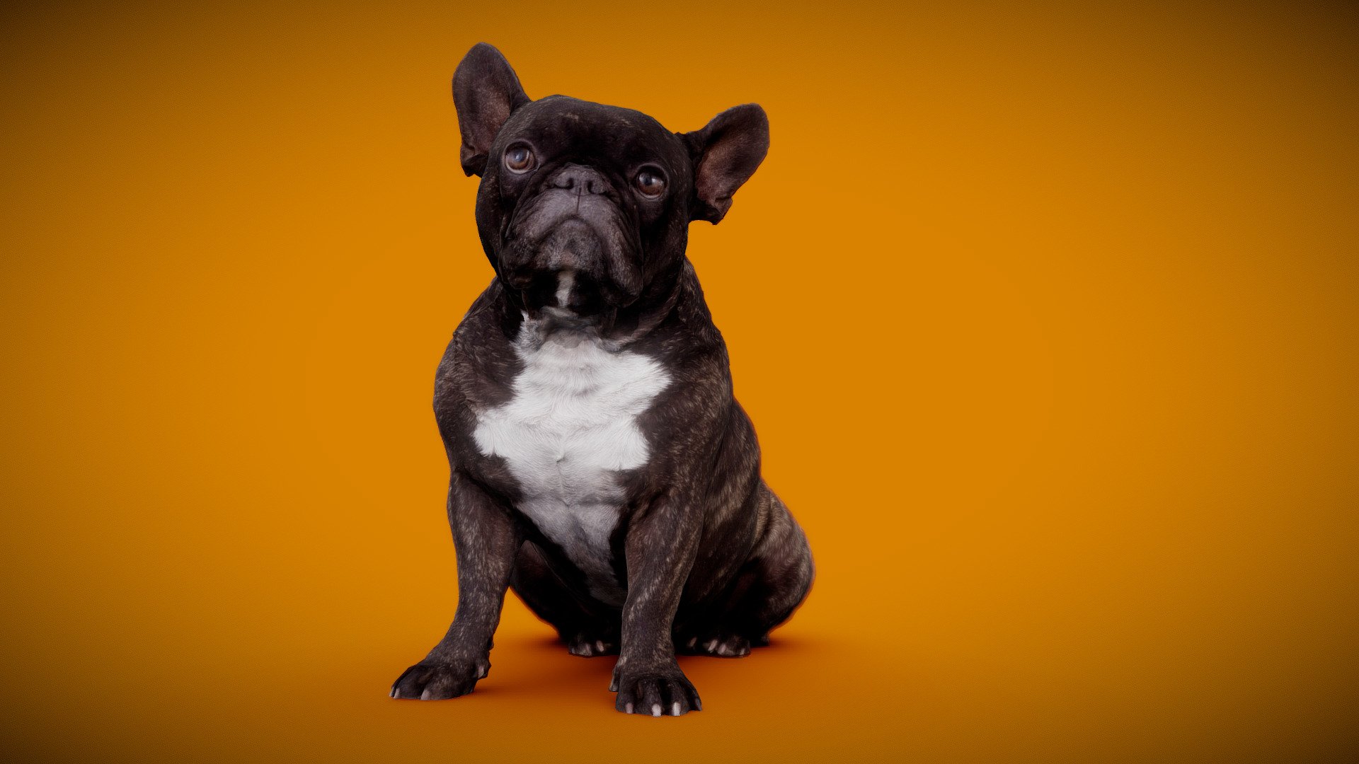 DOG B 3d model