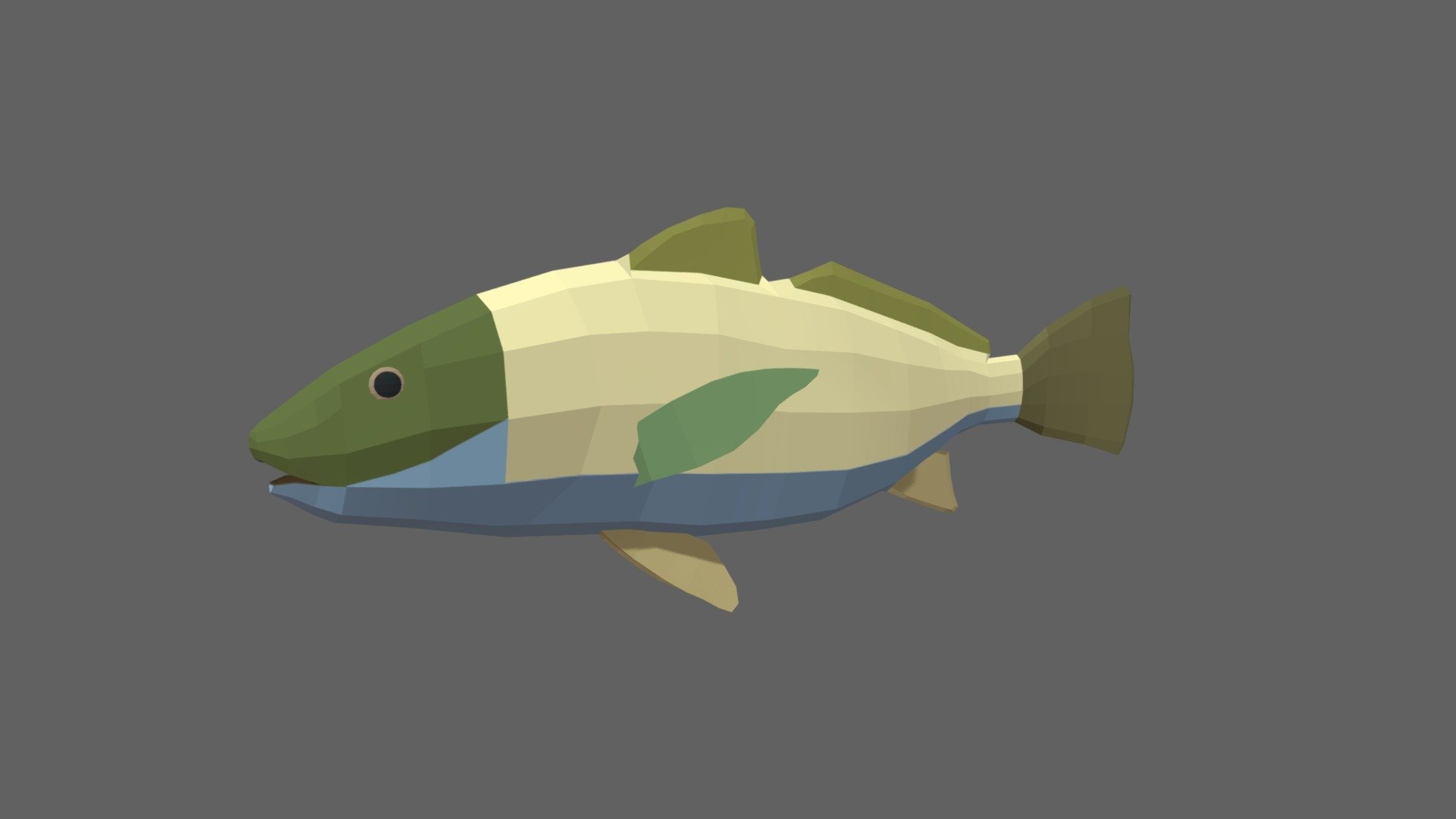 Corvina 3d model