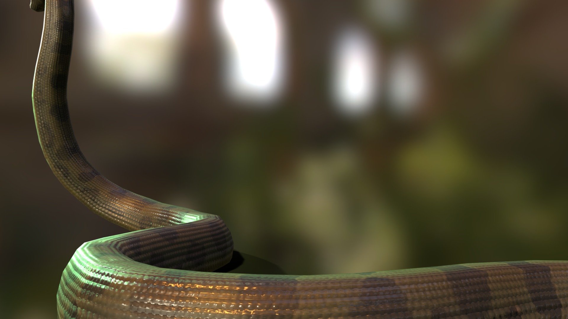 Anaconda 3d model