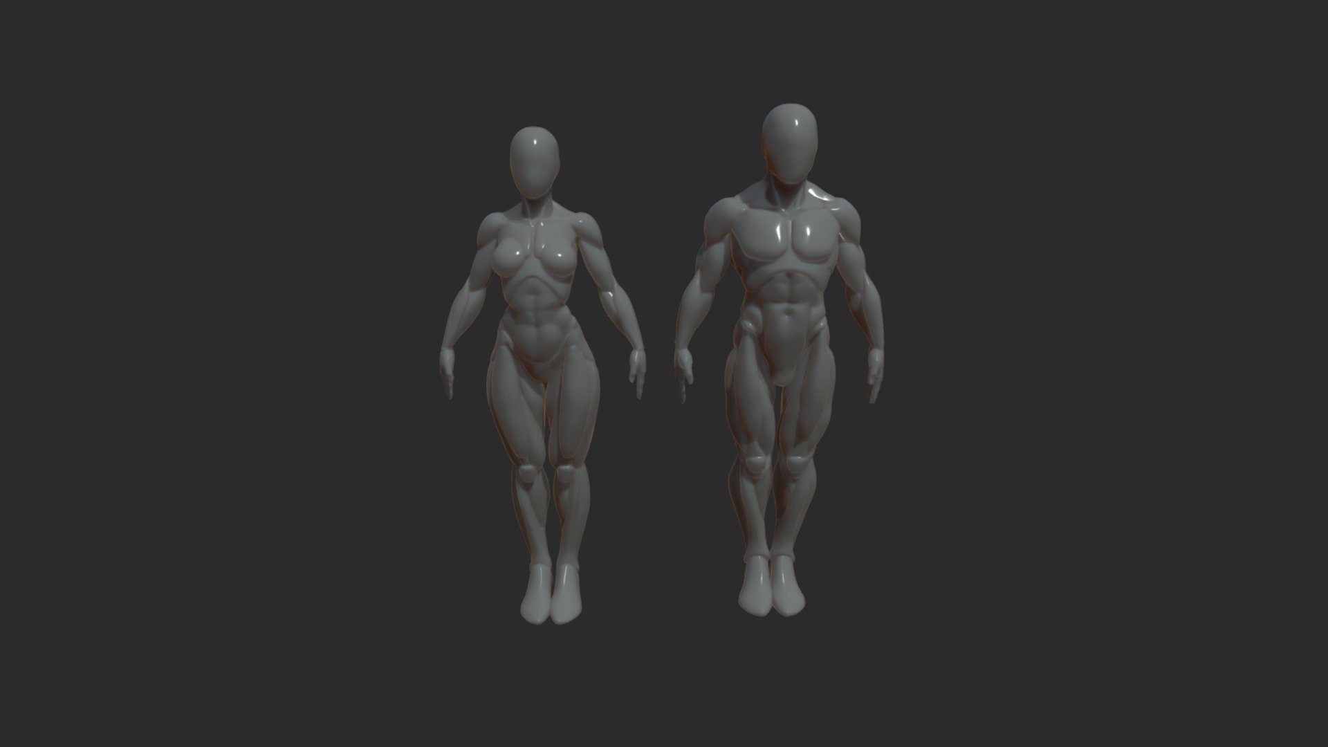 Asa female and male base 3d model