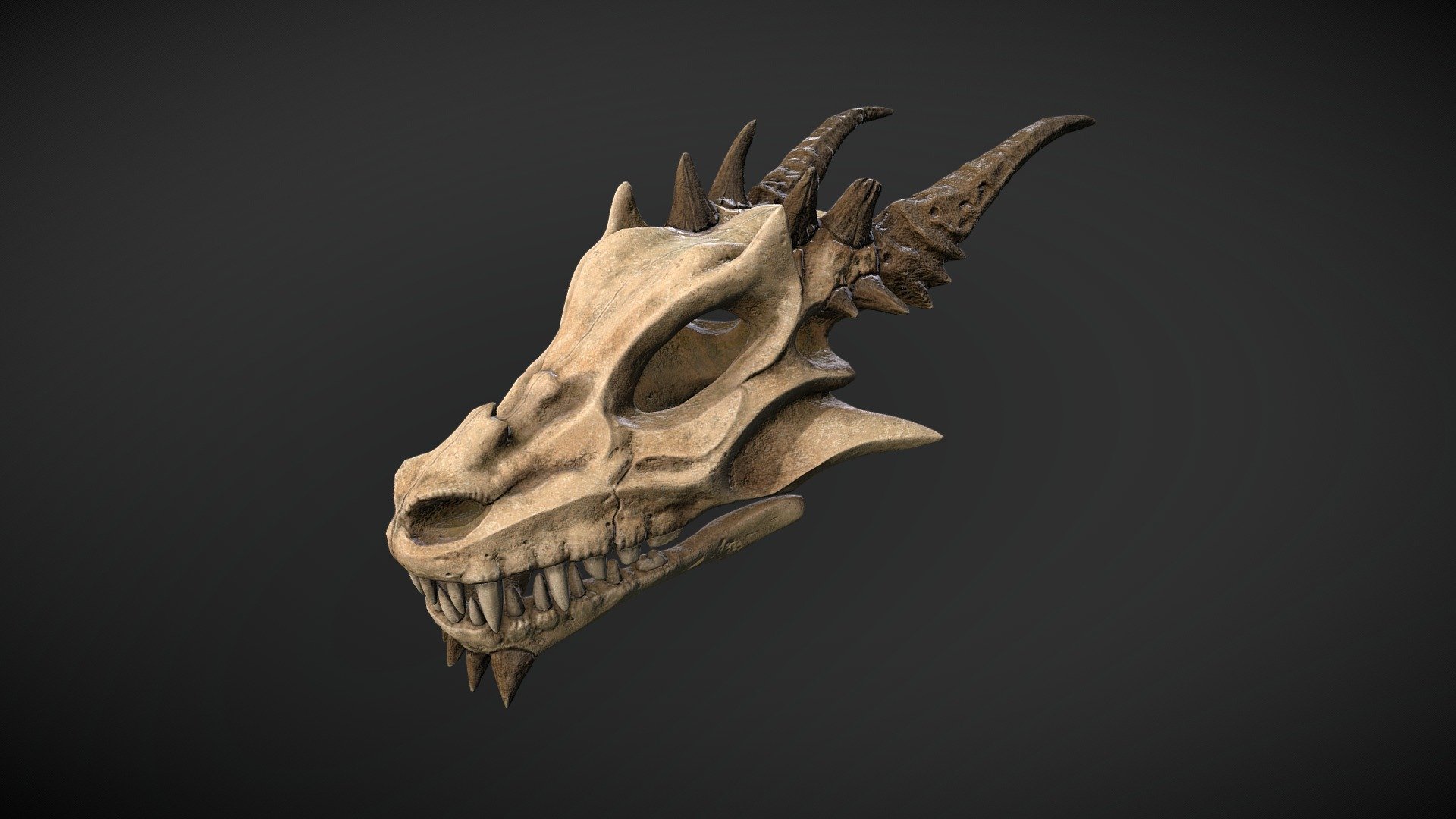 Dragon Skull 3d model