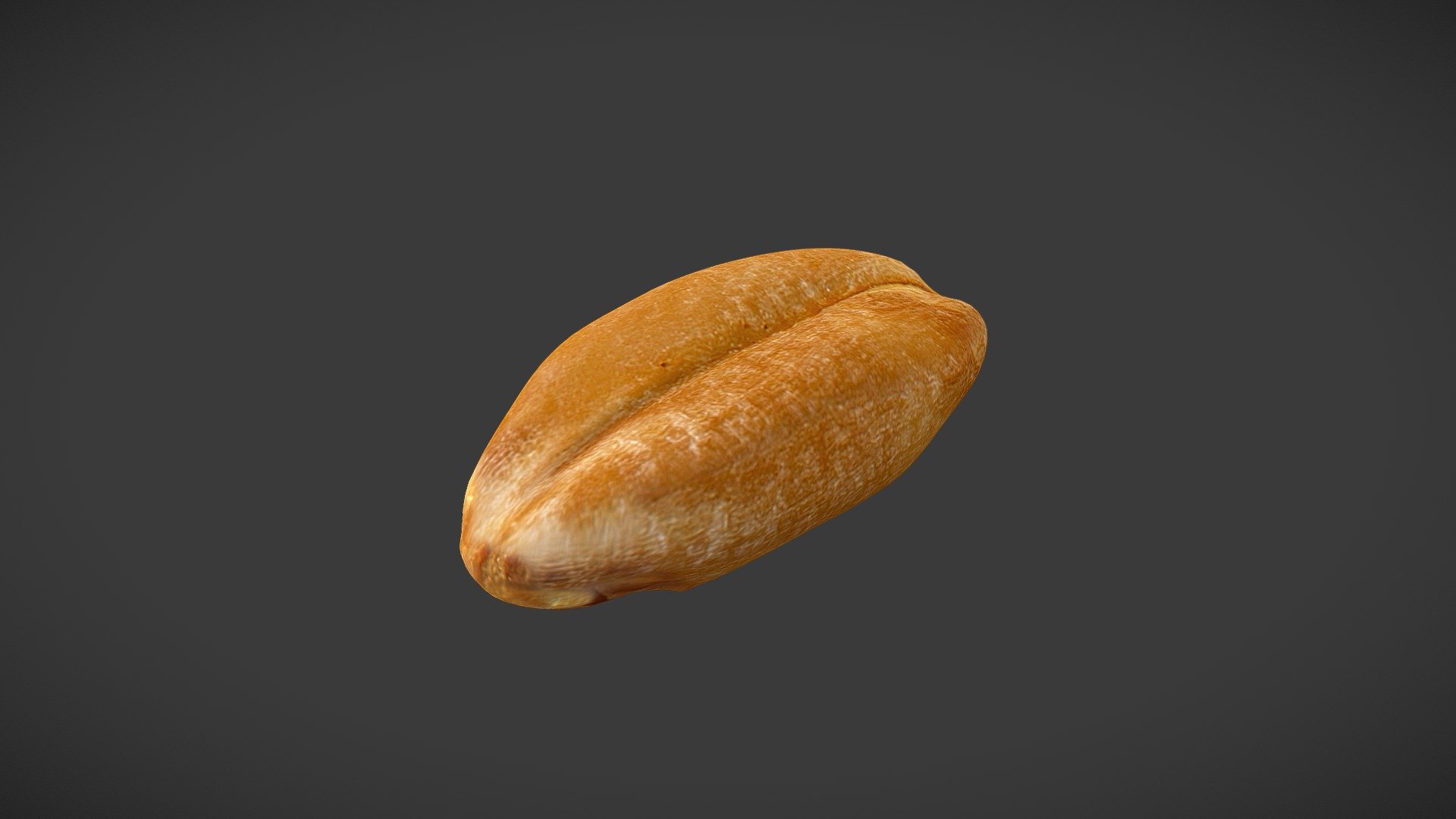 Durum Wheat 3d model