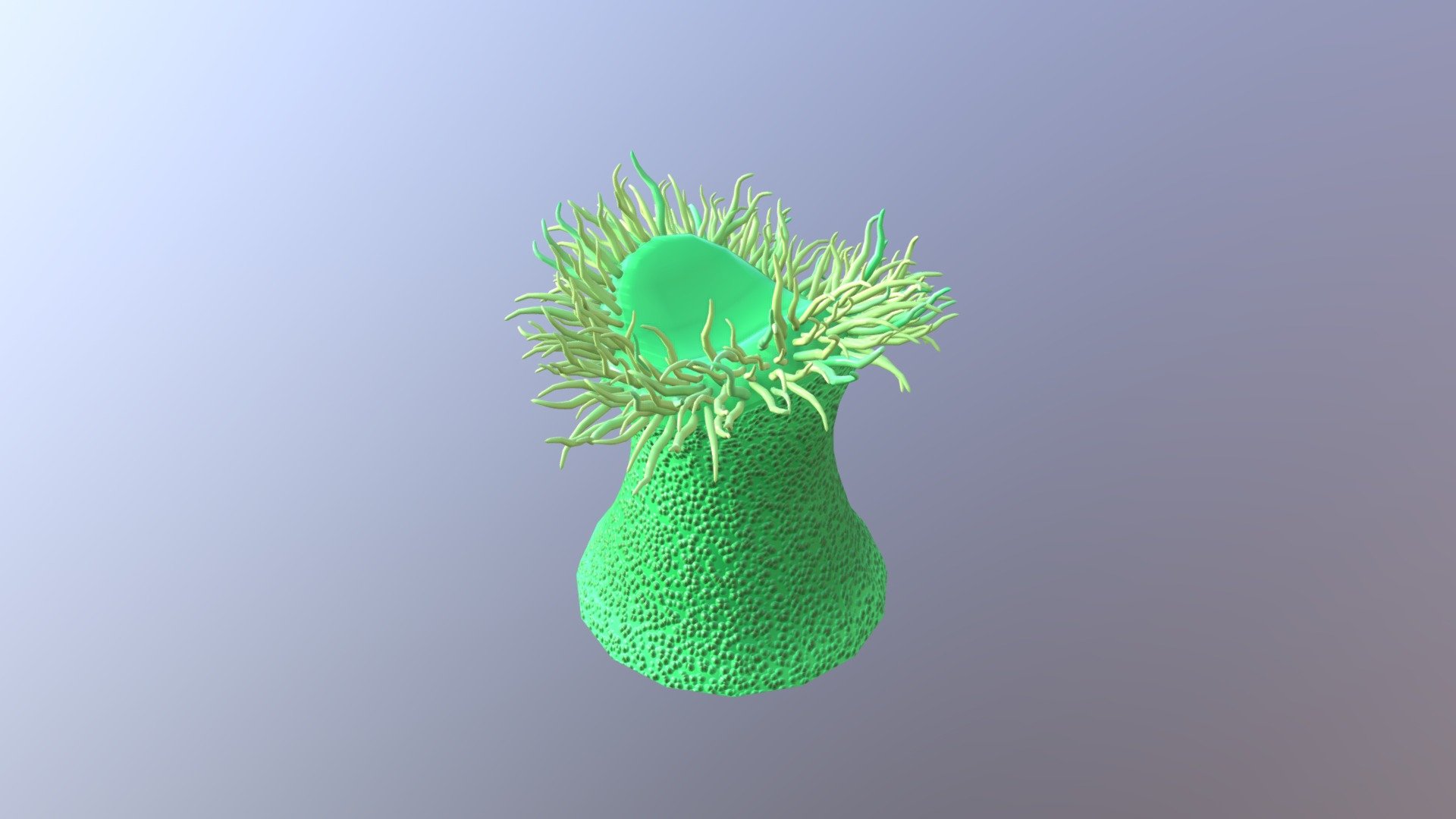 Anemone 04 3d model