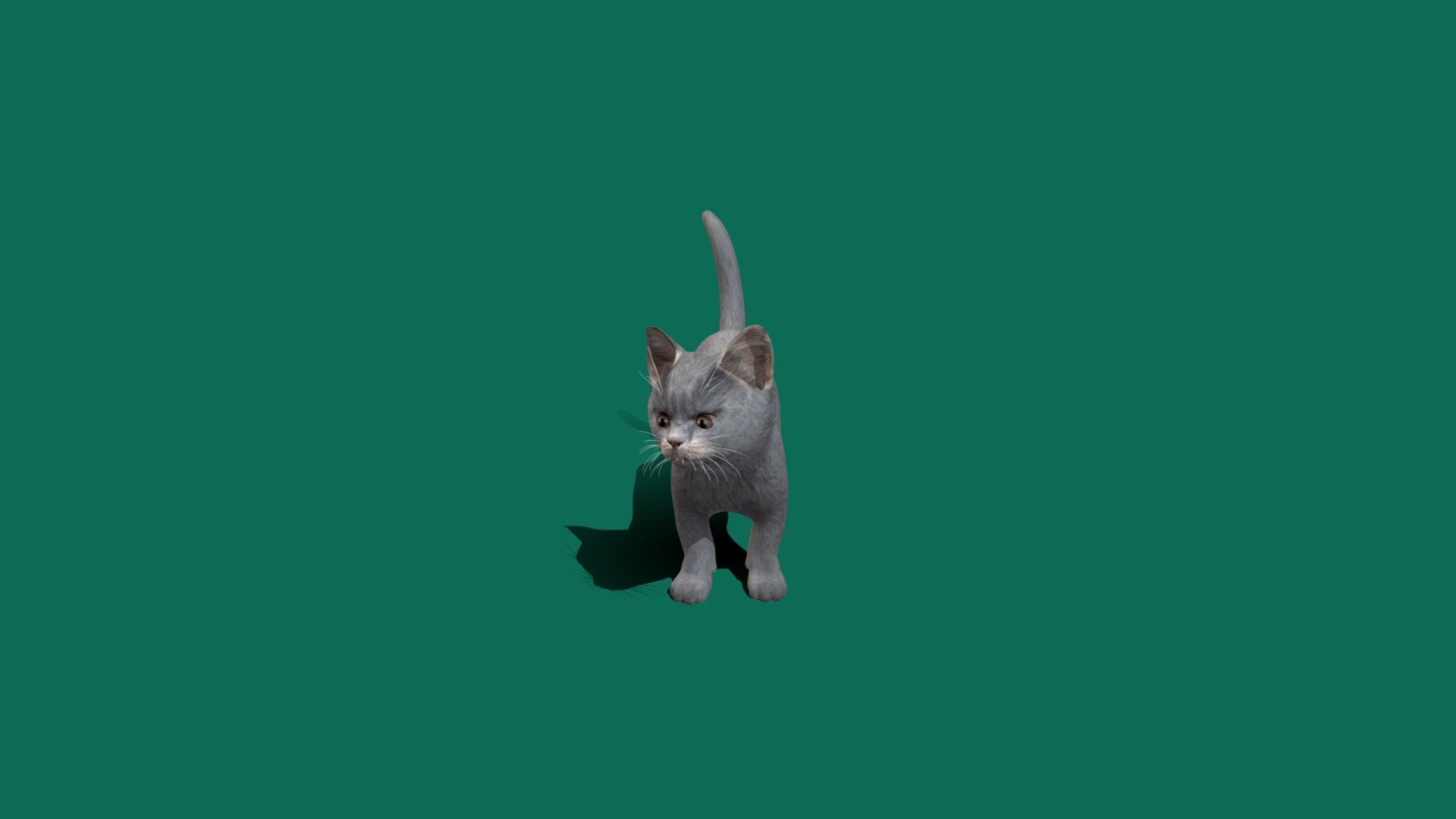 Kitten v3 3d model