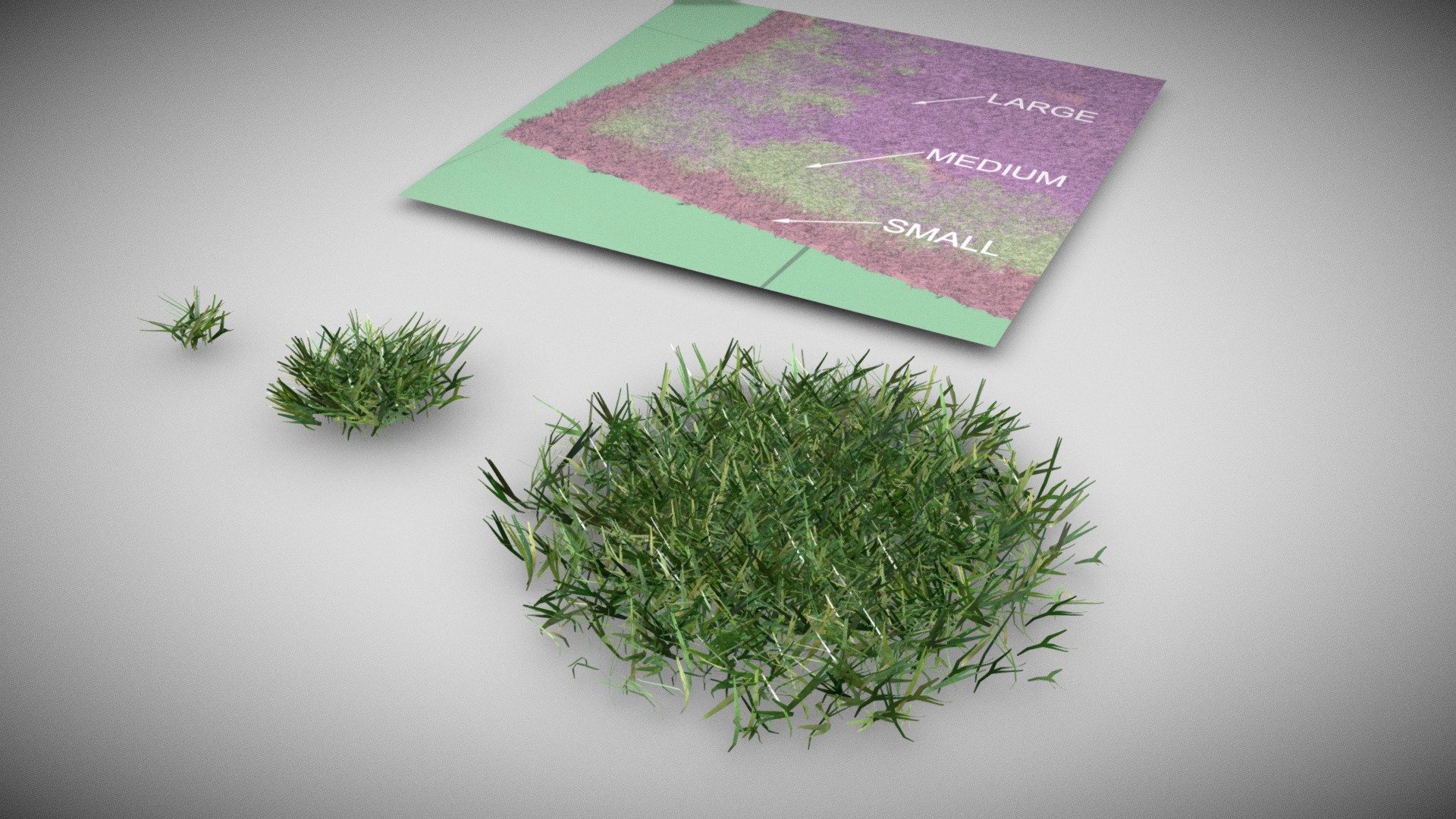 Vegitation Grass Lawn Simple 3d model