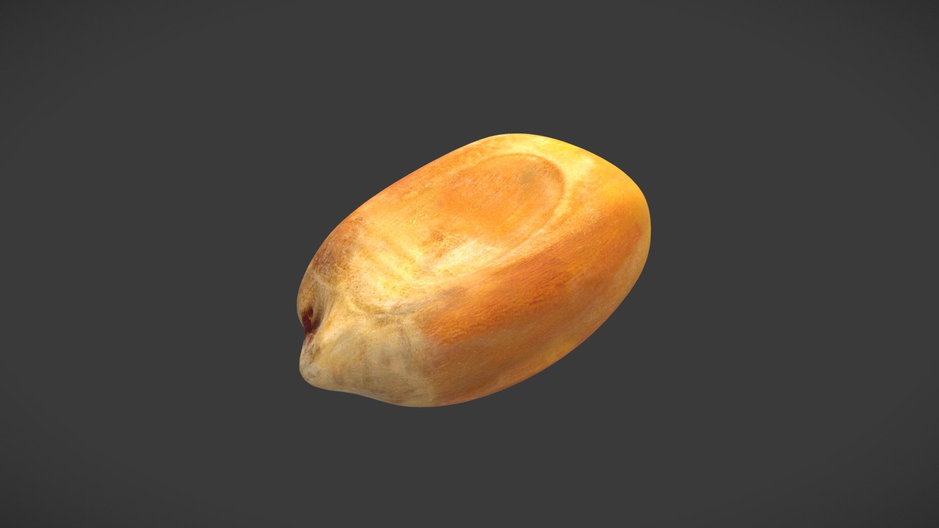 Field Corn 3d model