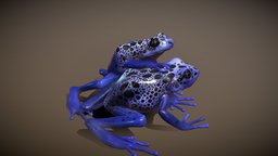 Blue Poison Dart Frog