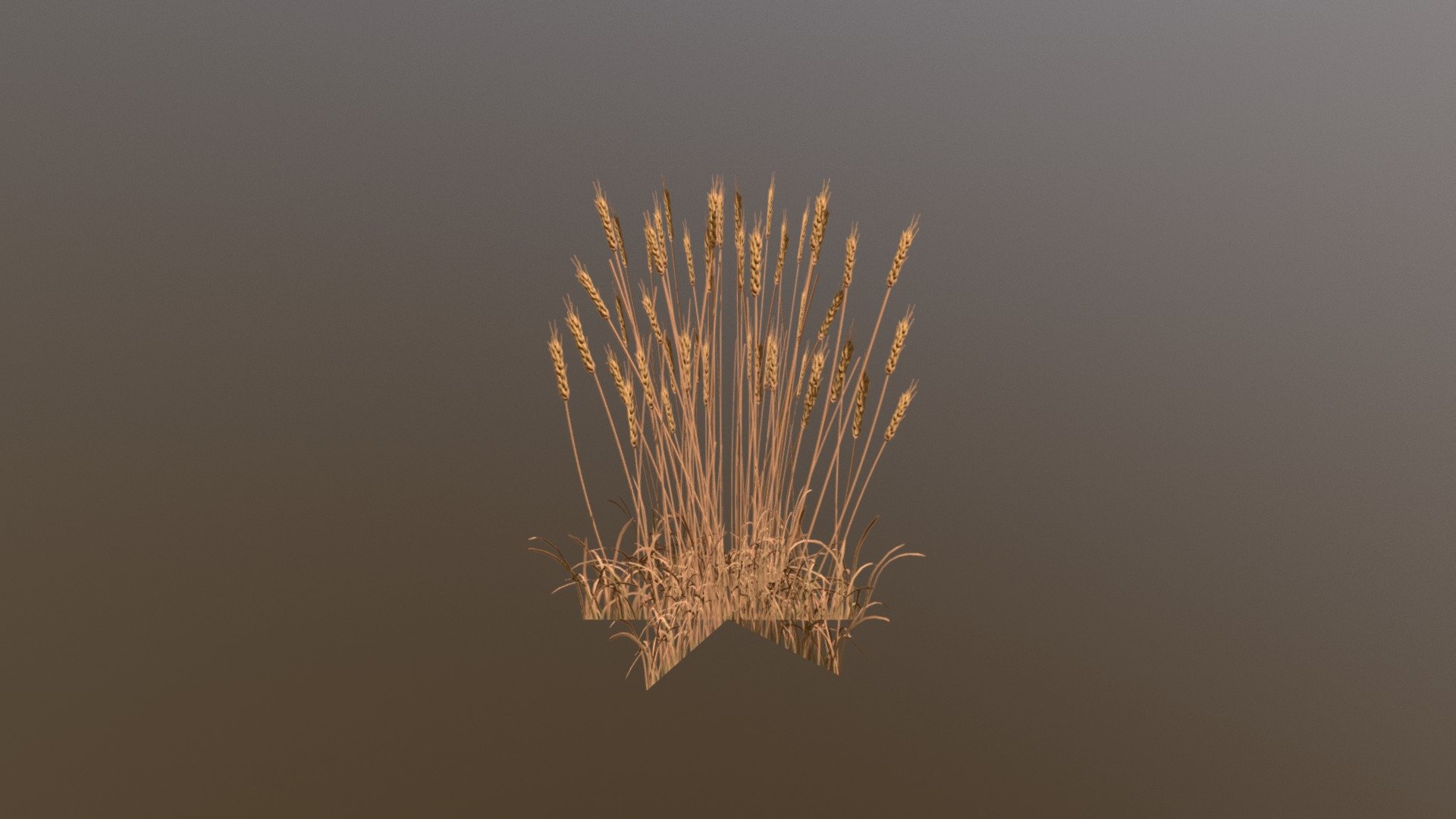 Wheat 3d model