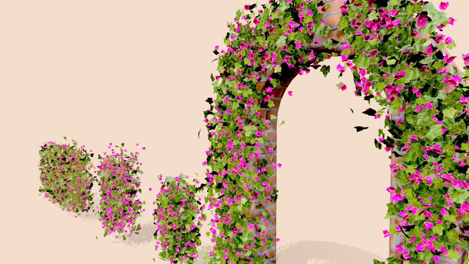 Bougainvillea Flowers vol.2 3d model