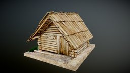 Medieval village house