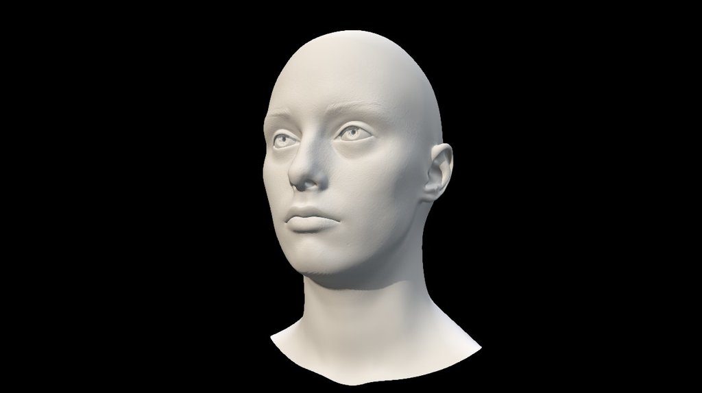 Caucasian adult female neutral head scan 3d model