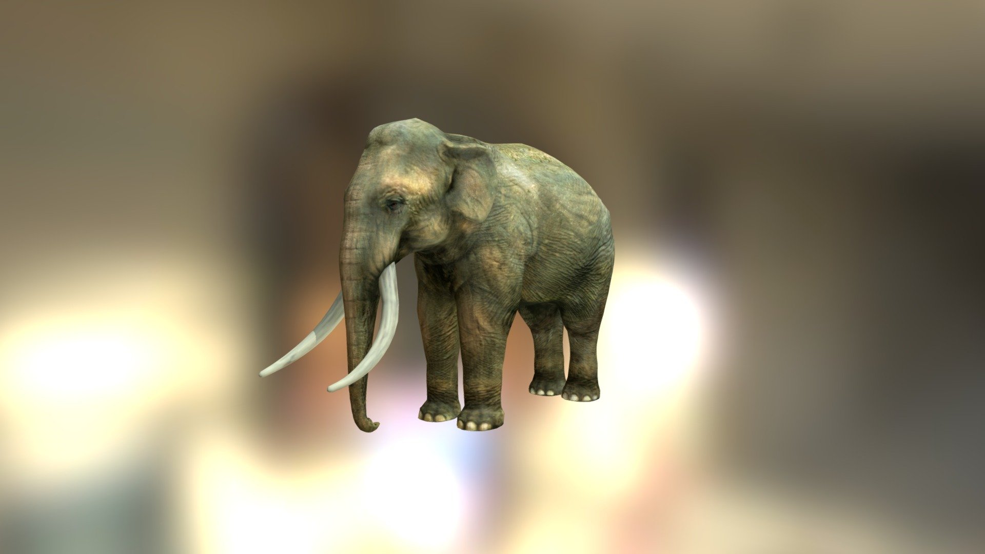 Asian elephant 3d model