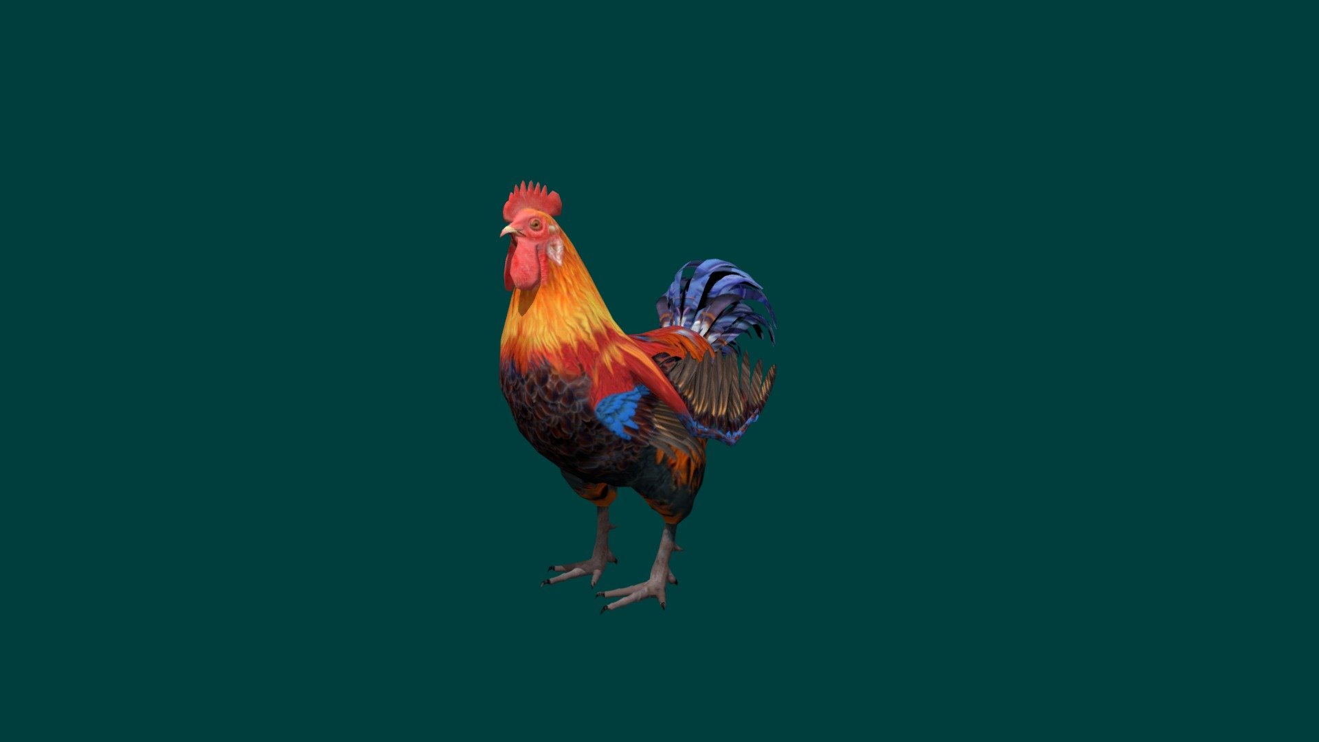 Rooster Lowpoly 3d model