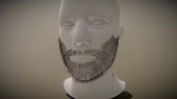 Facial Hair Short Beard