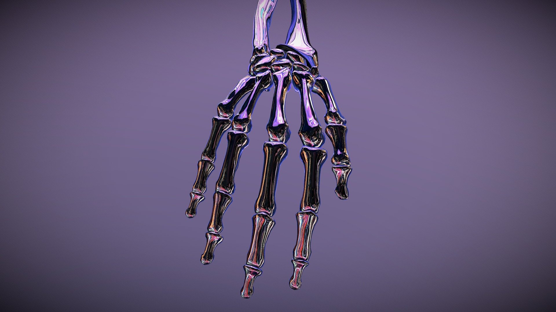 Human Hand Skeleton 3d model