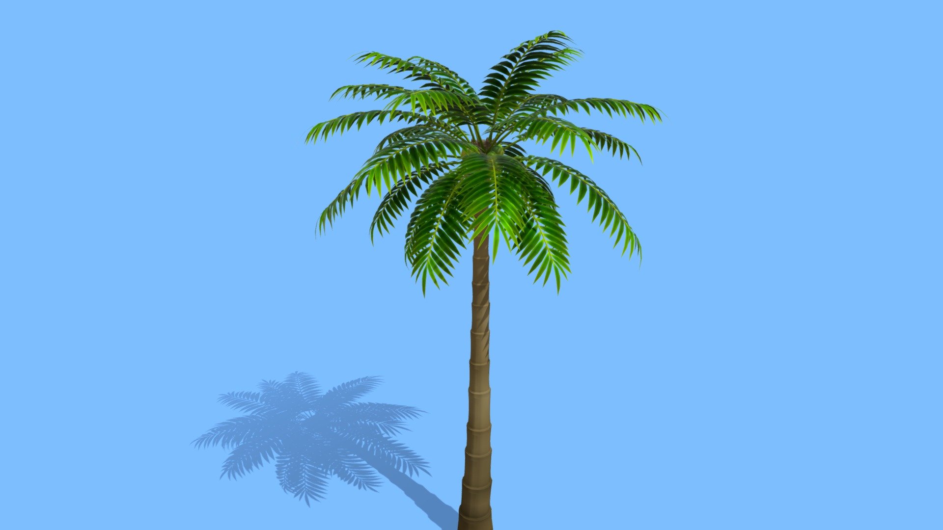 palm Tree 3d model