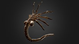 Facehugger (Alien)