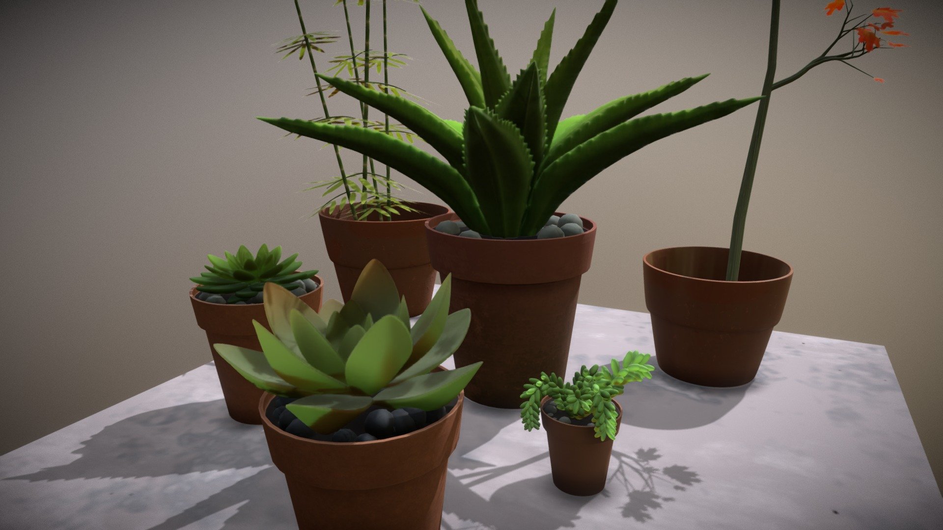 Succulent Plants Obj 3d model