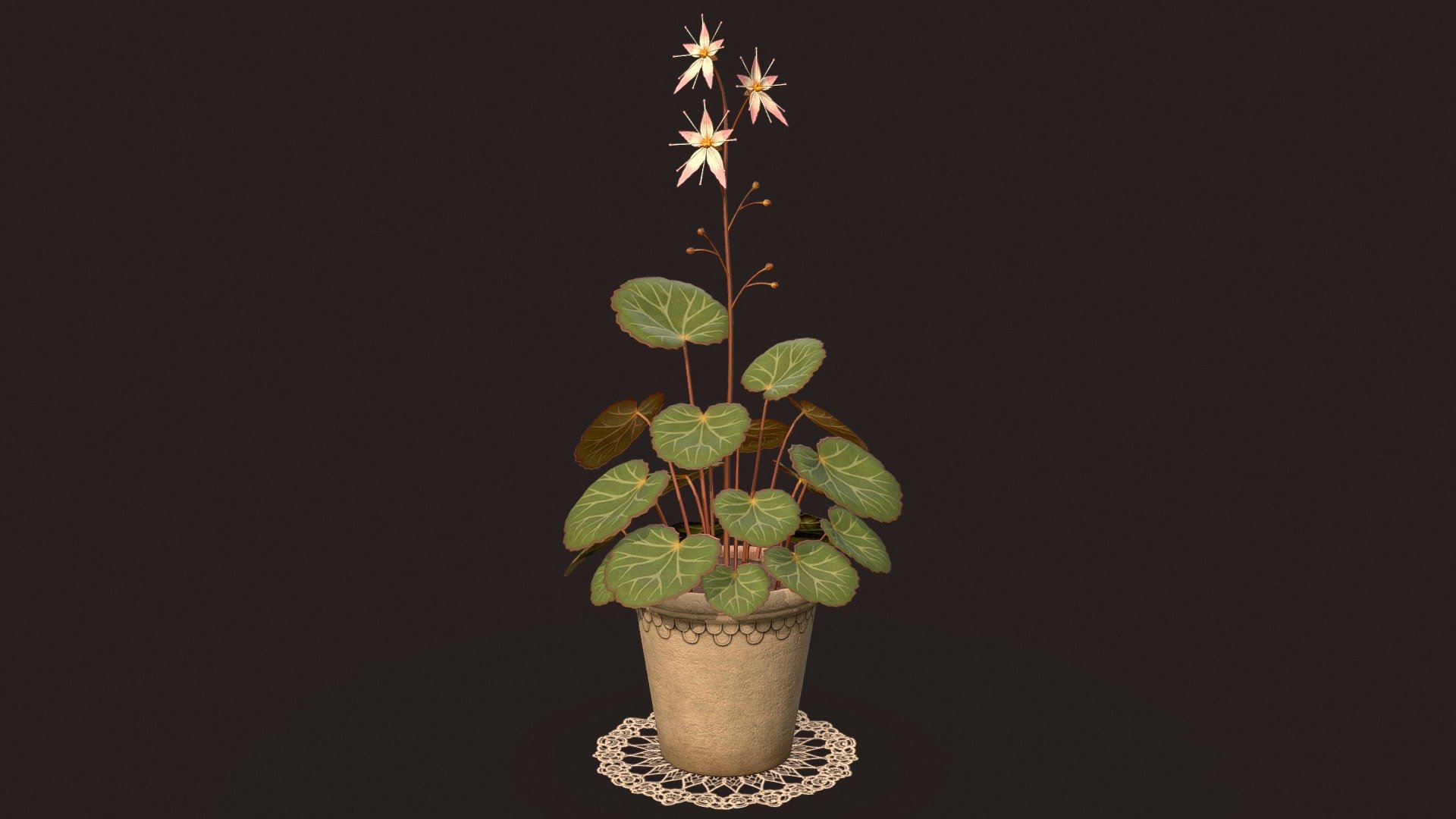 House Plant (Saxifraga stolonifera) 3d model