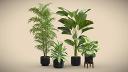 Indoor Plants Pack 54