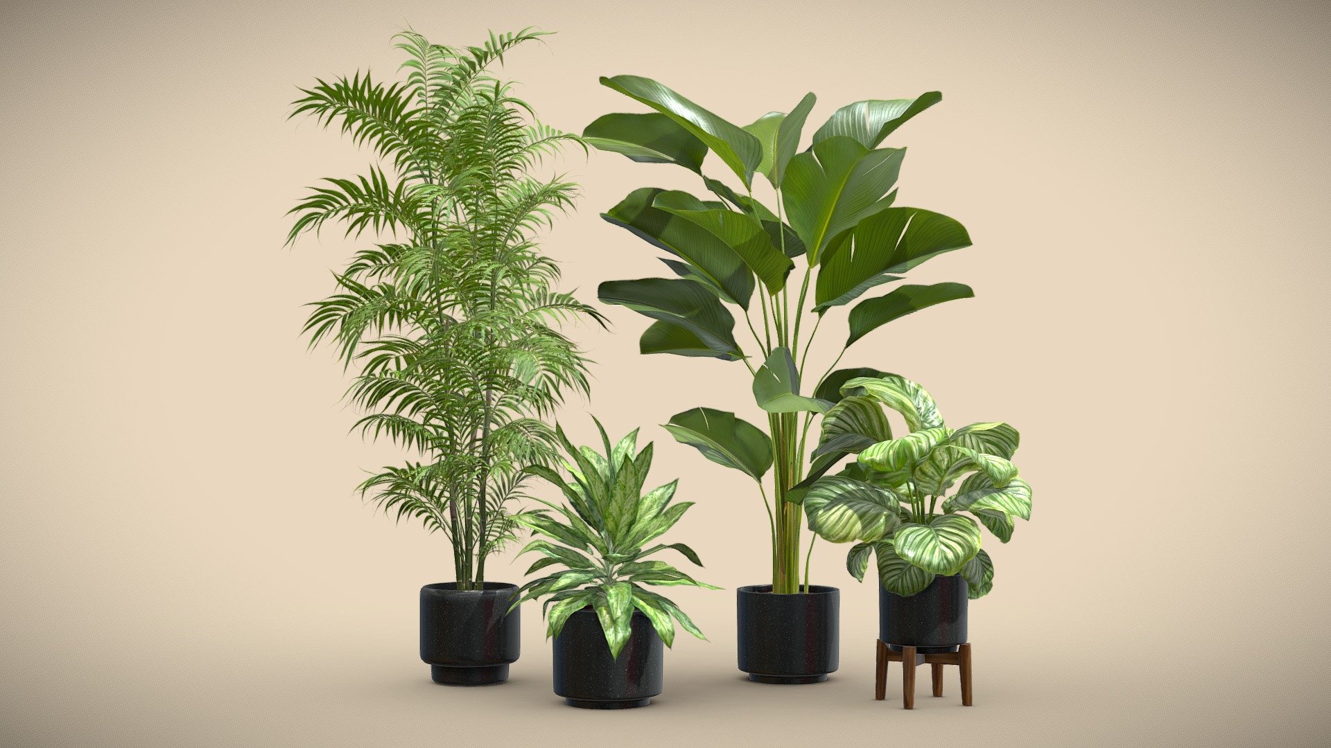 Indoor Plants Pack 54 3d model