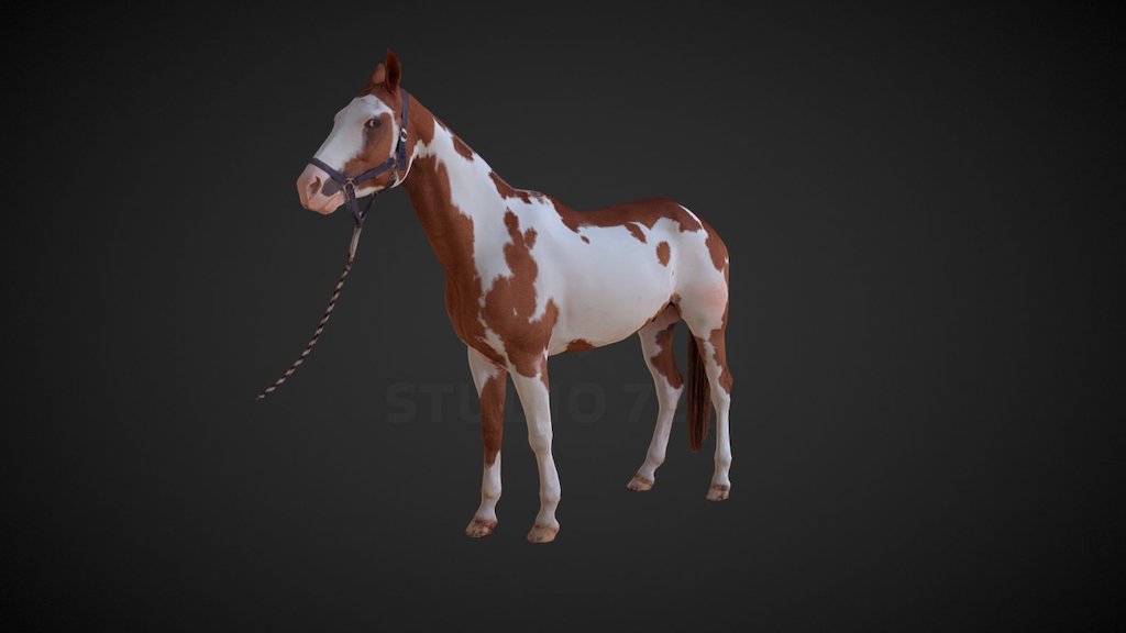 Horse 3d model