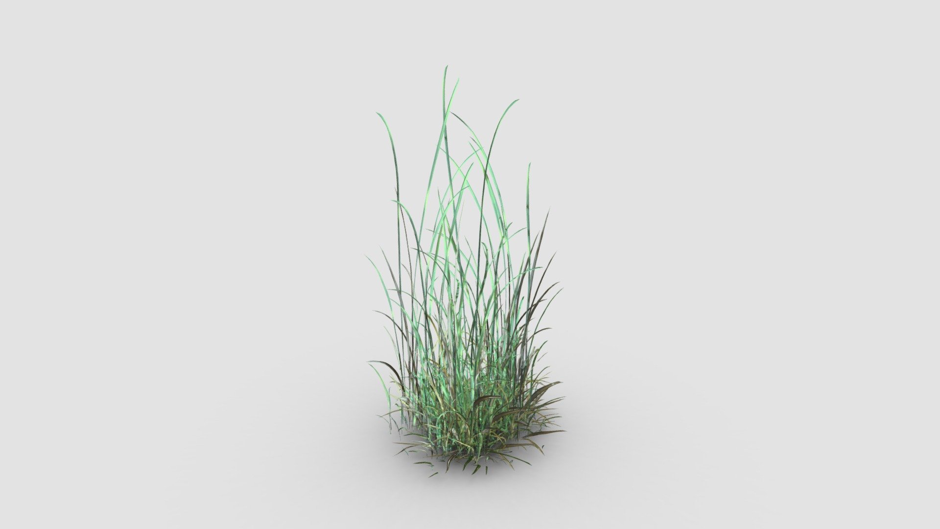 simple grass 3d model