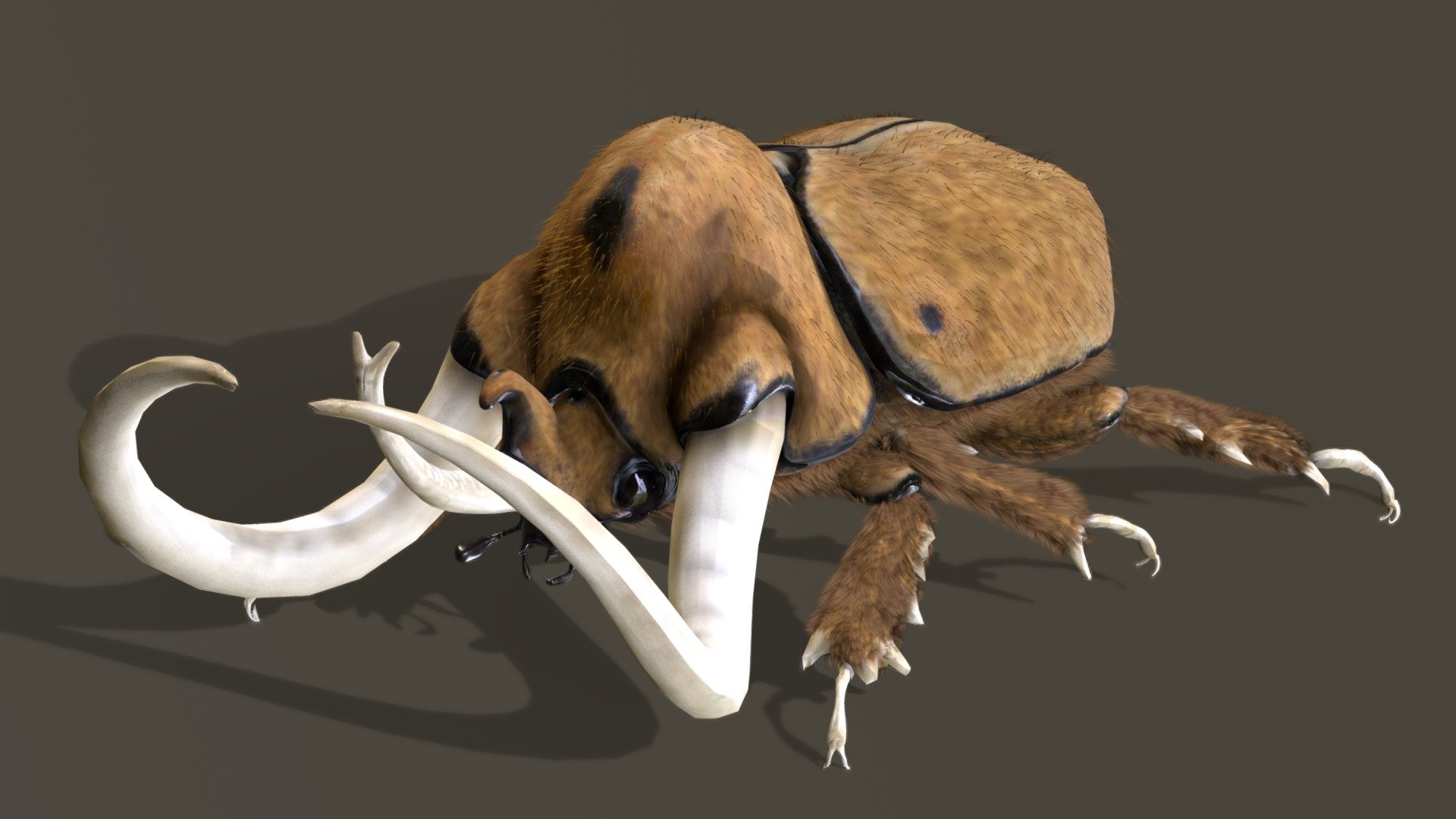 Mammoth beetle- Fur test- 3d model