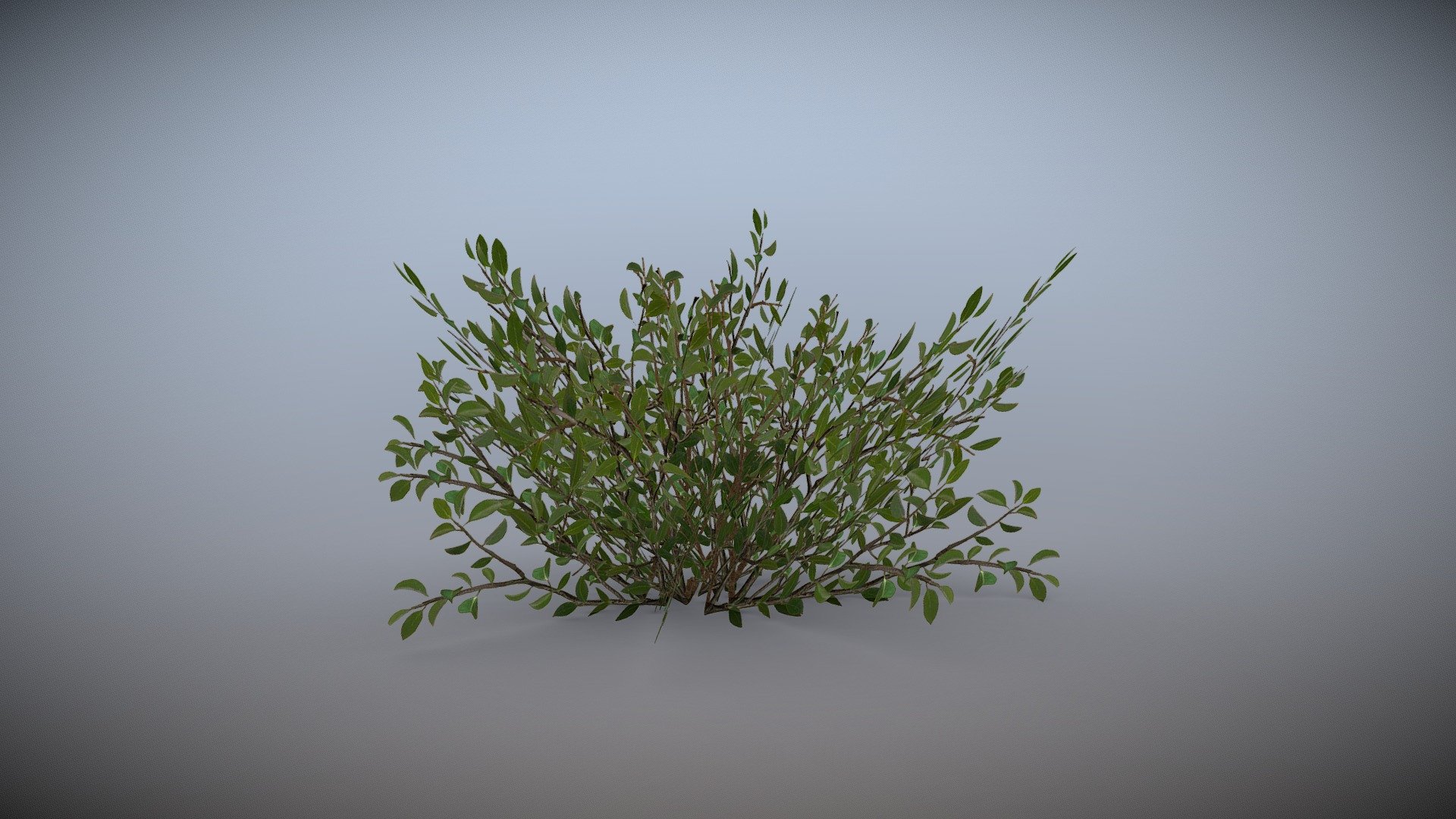 Game ready bush 3d model