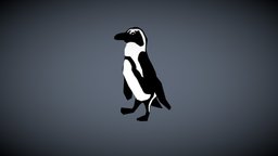 Dancing Penguin