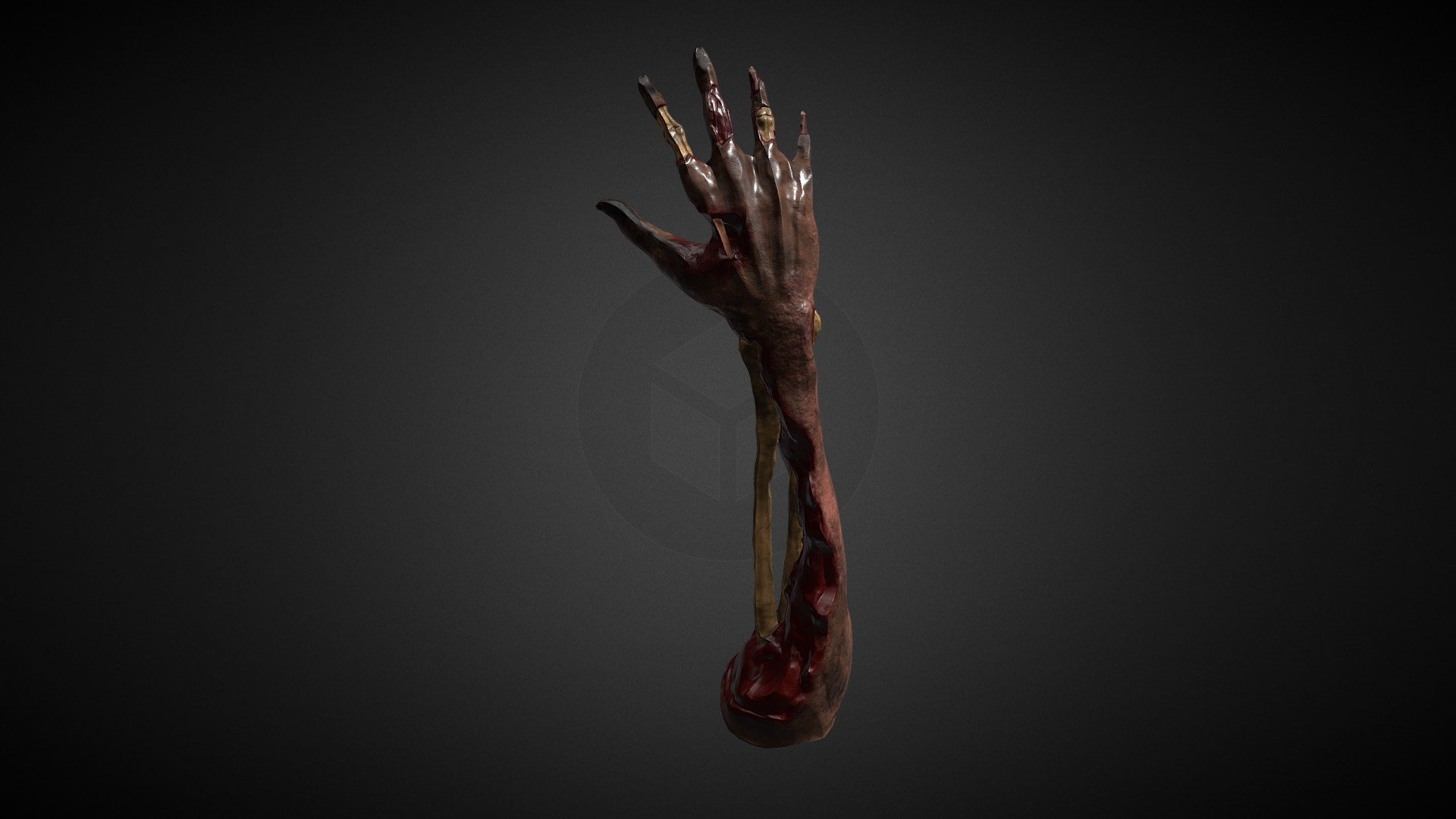 Undead Arm Updated 3d model