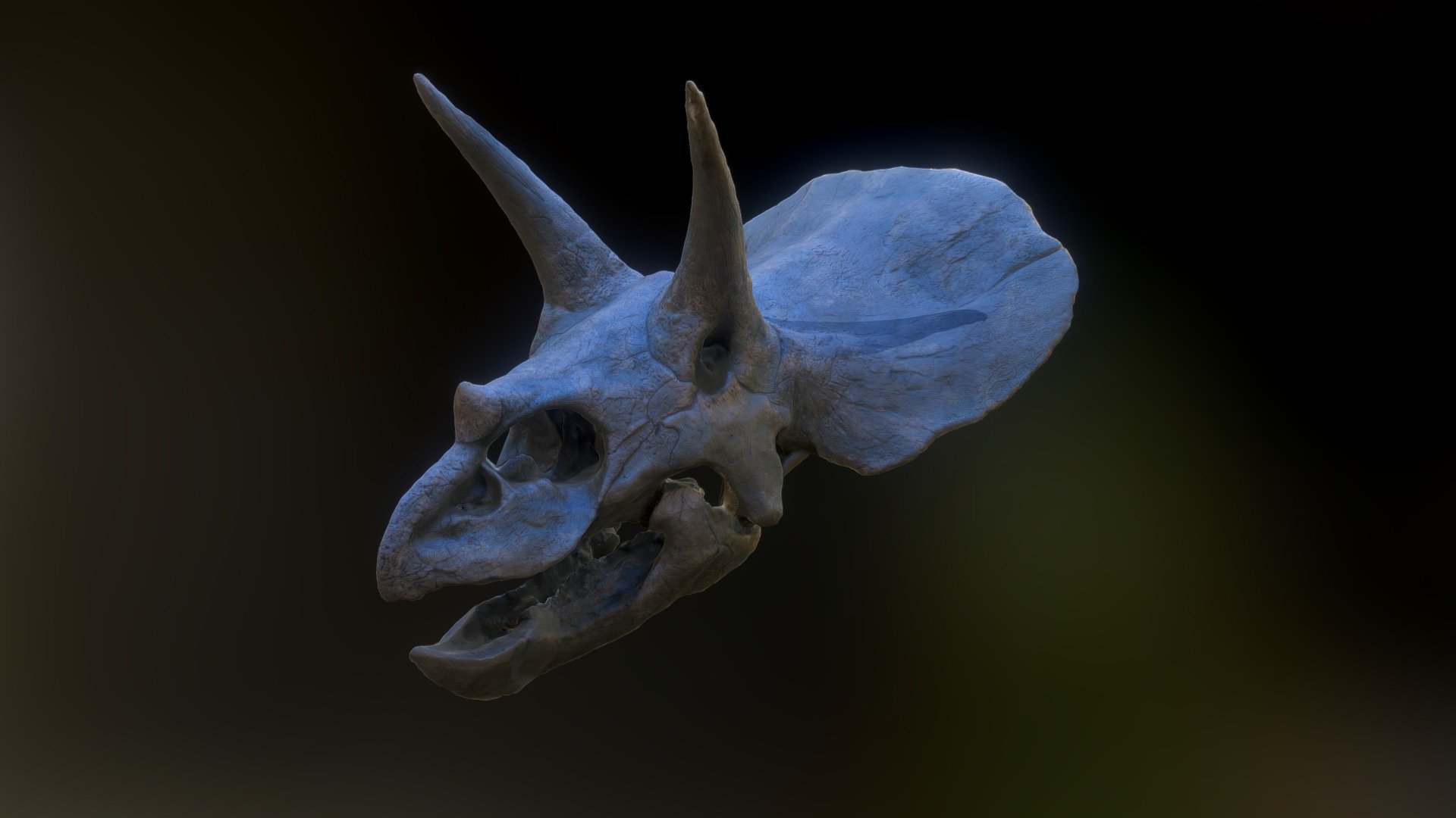 Triceratops Horridus, Nat. Hist. Museum, Oxford 3d model