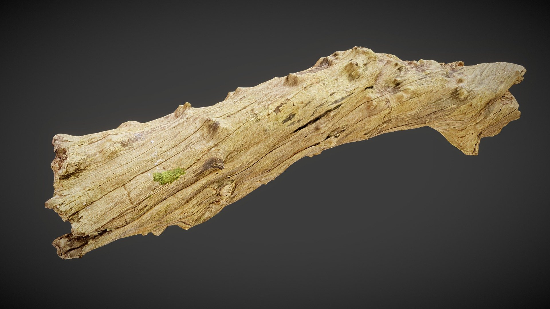 Barkless-wood 02 3d model