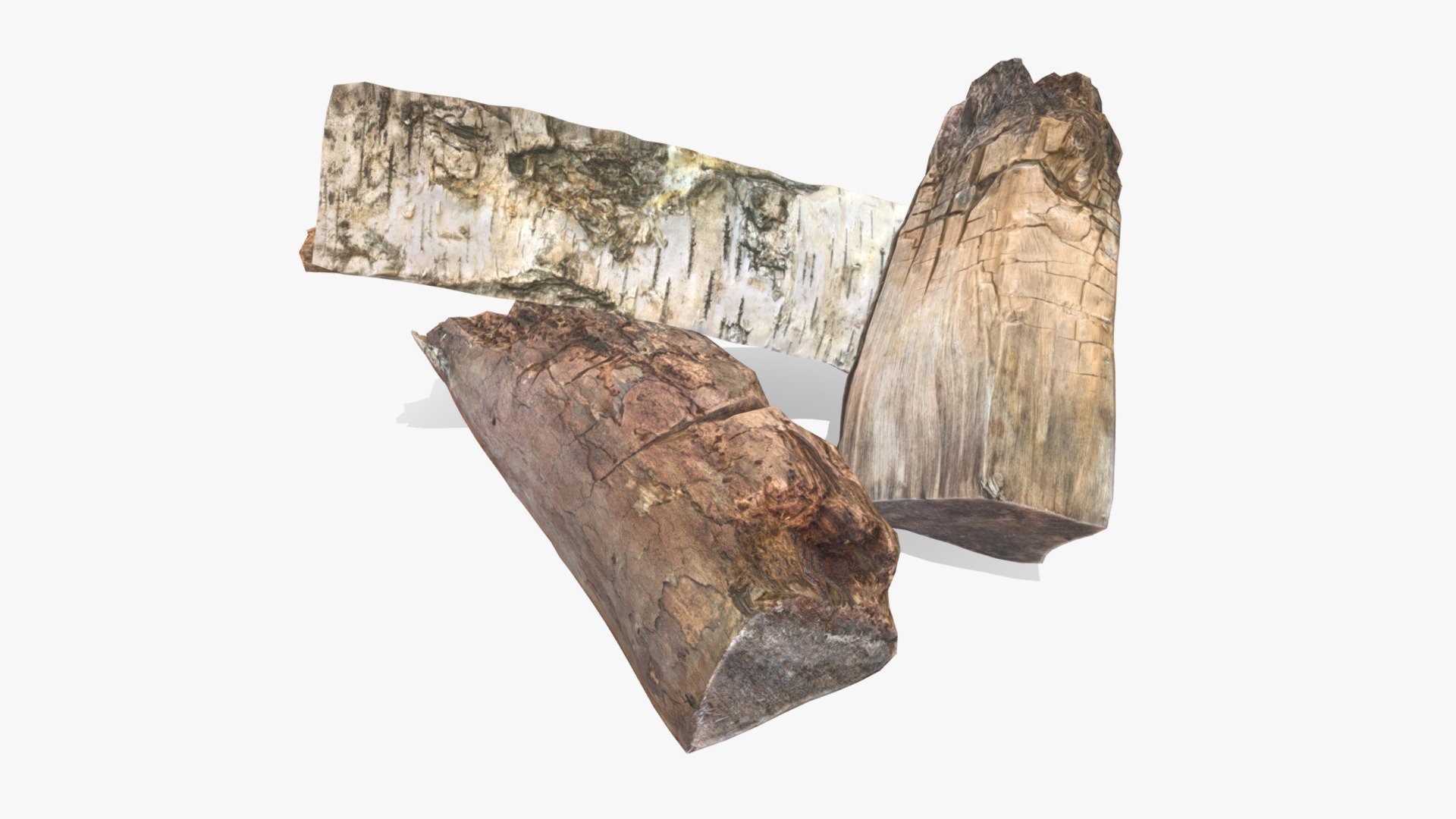 Logs Rotten 3d model