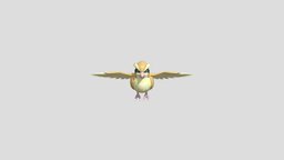 Pidgey