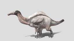 Deinocheirus