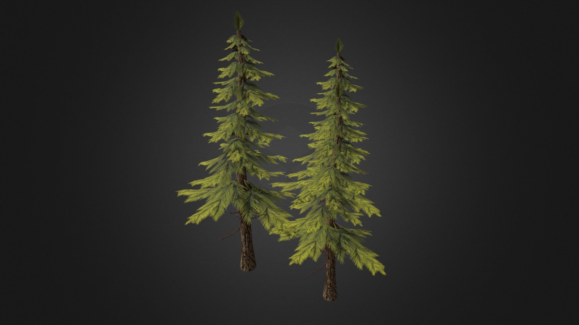 Set of Pines 3d model