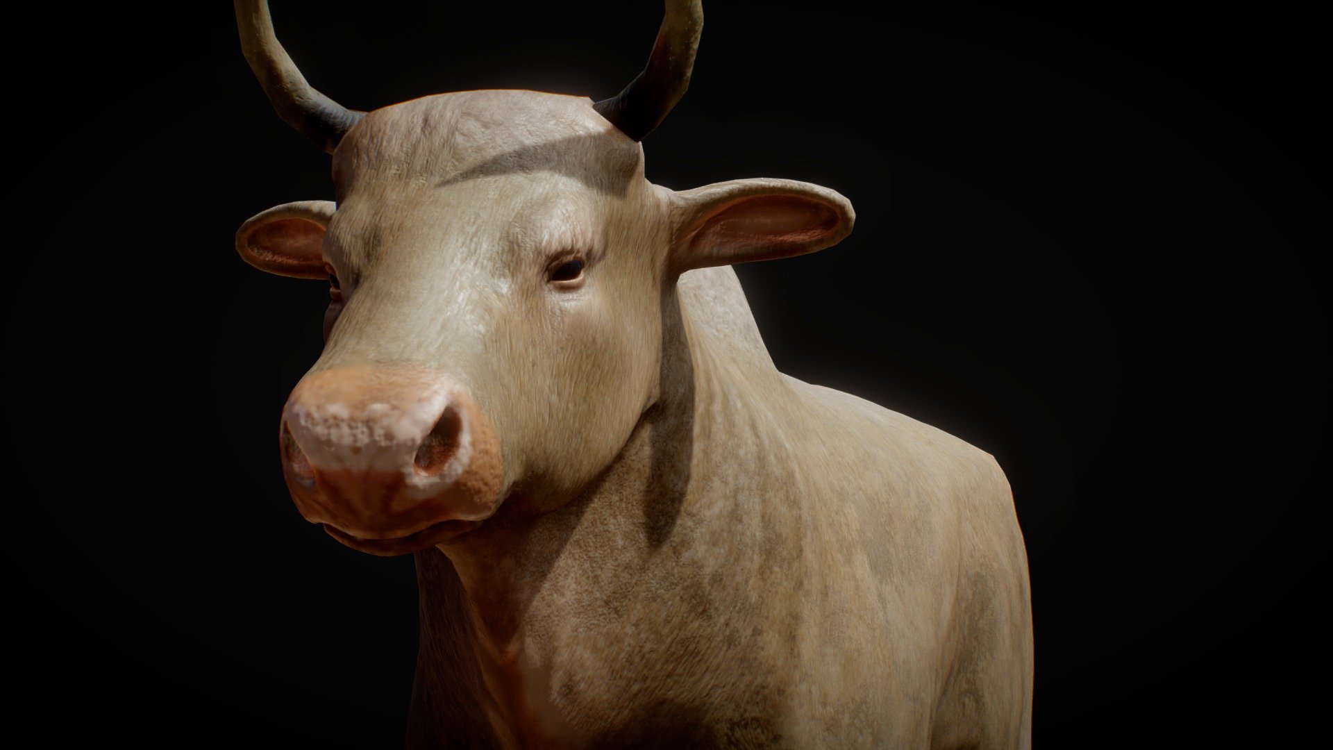 Bull real time model 3d model