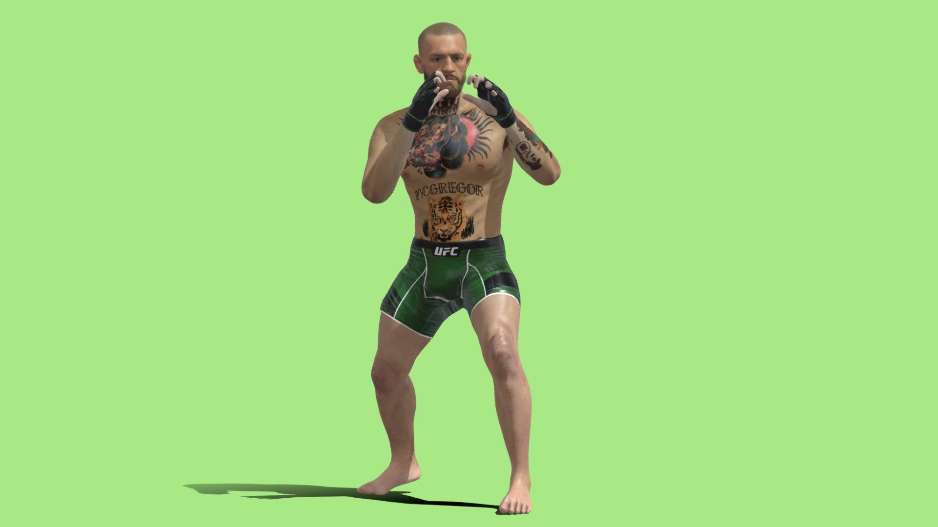 3D Rigged Conor Mcgregor 3d model