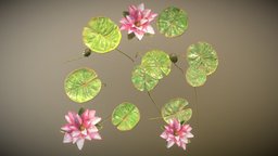 Water Lilies