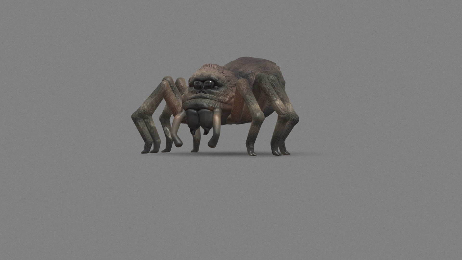 Aragog 3d model