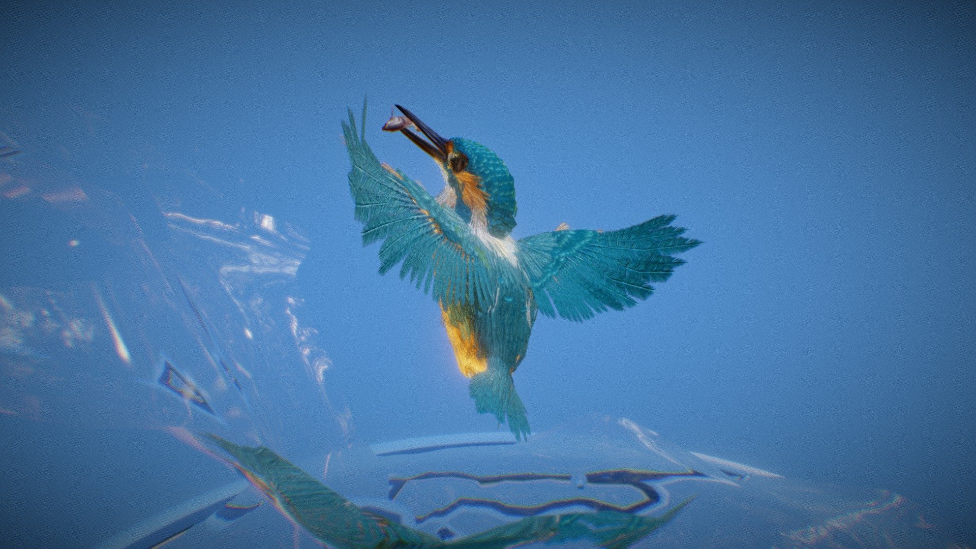 Kingfisher 3d model