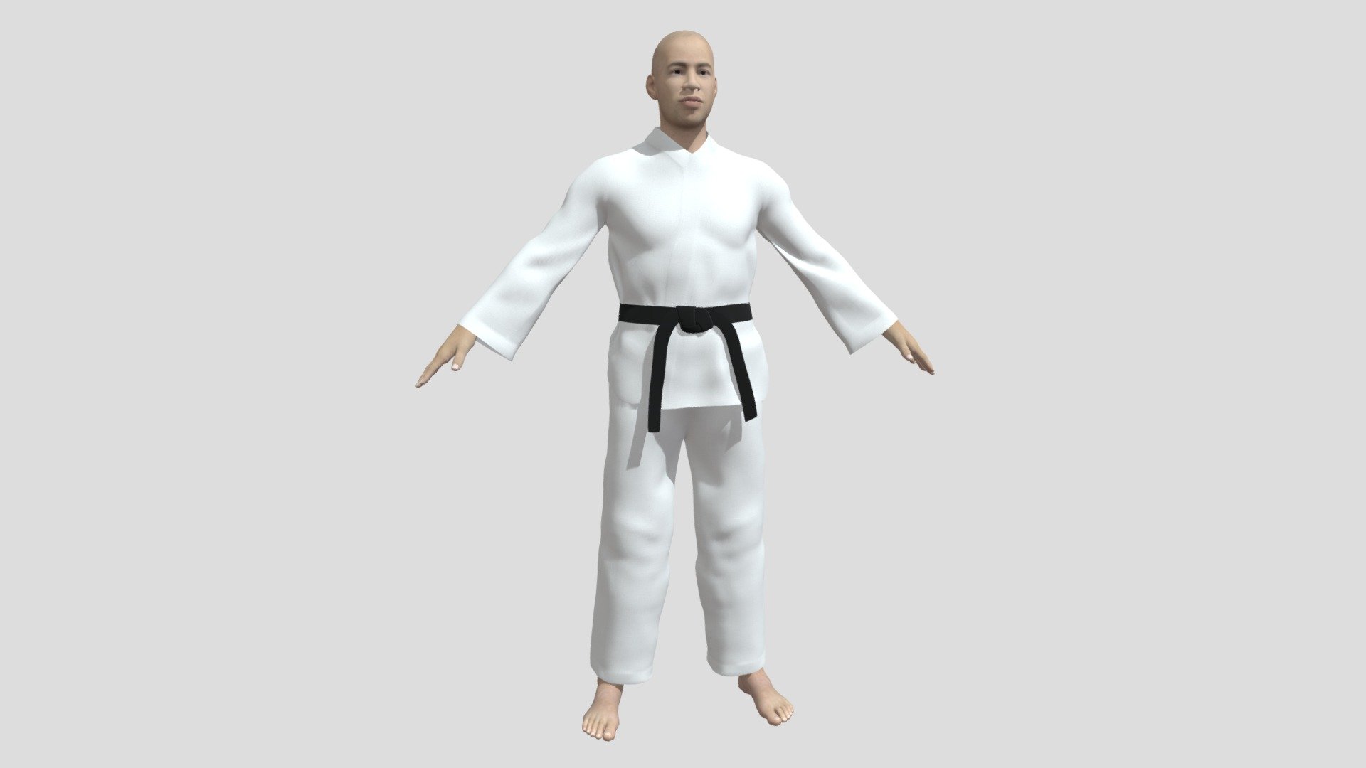 Karate Fighter 3d model