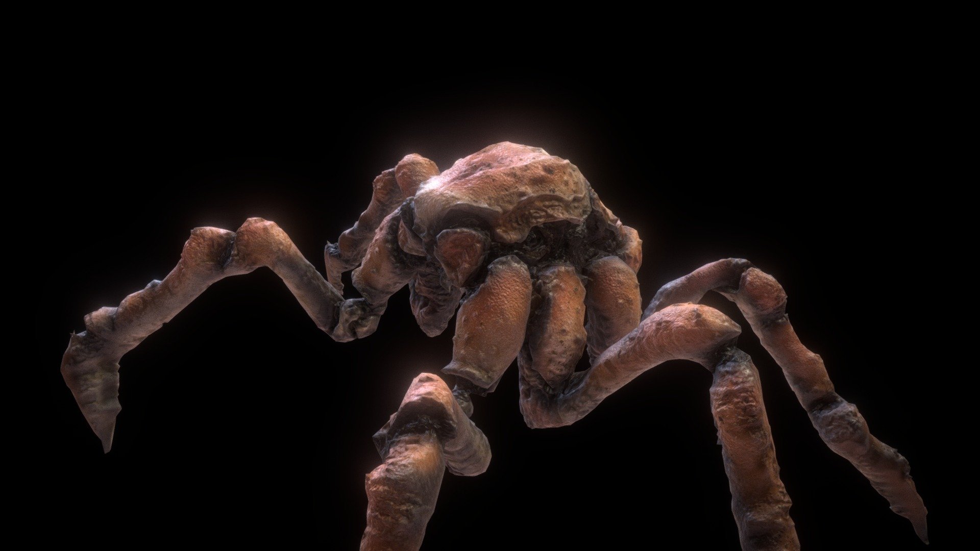 Mega Spider Crab 3d model