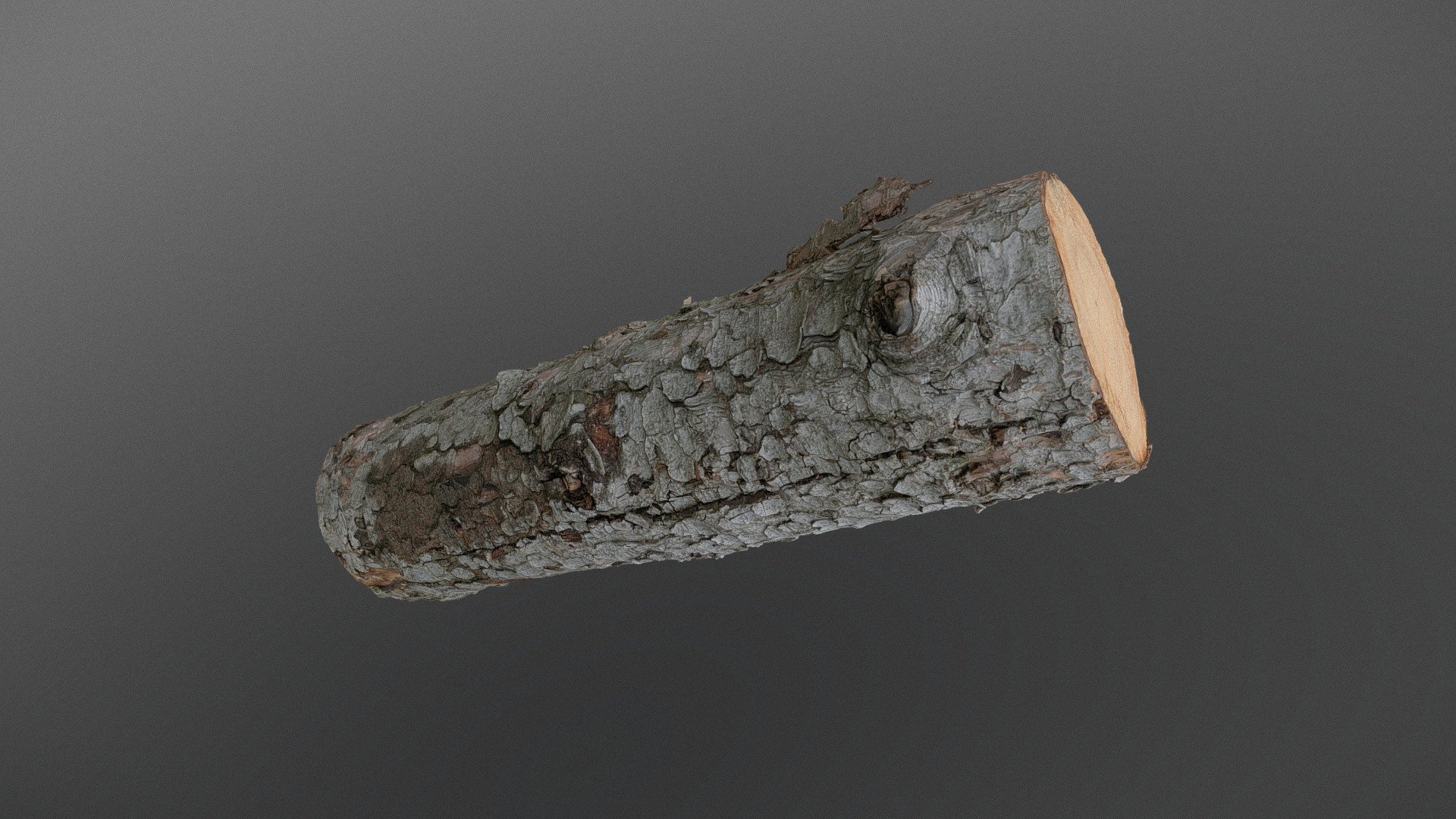 Spruce log 3d model