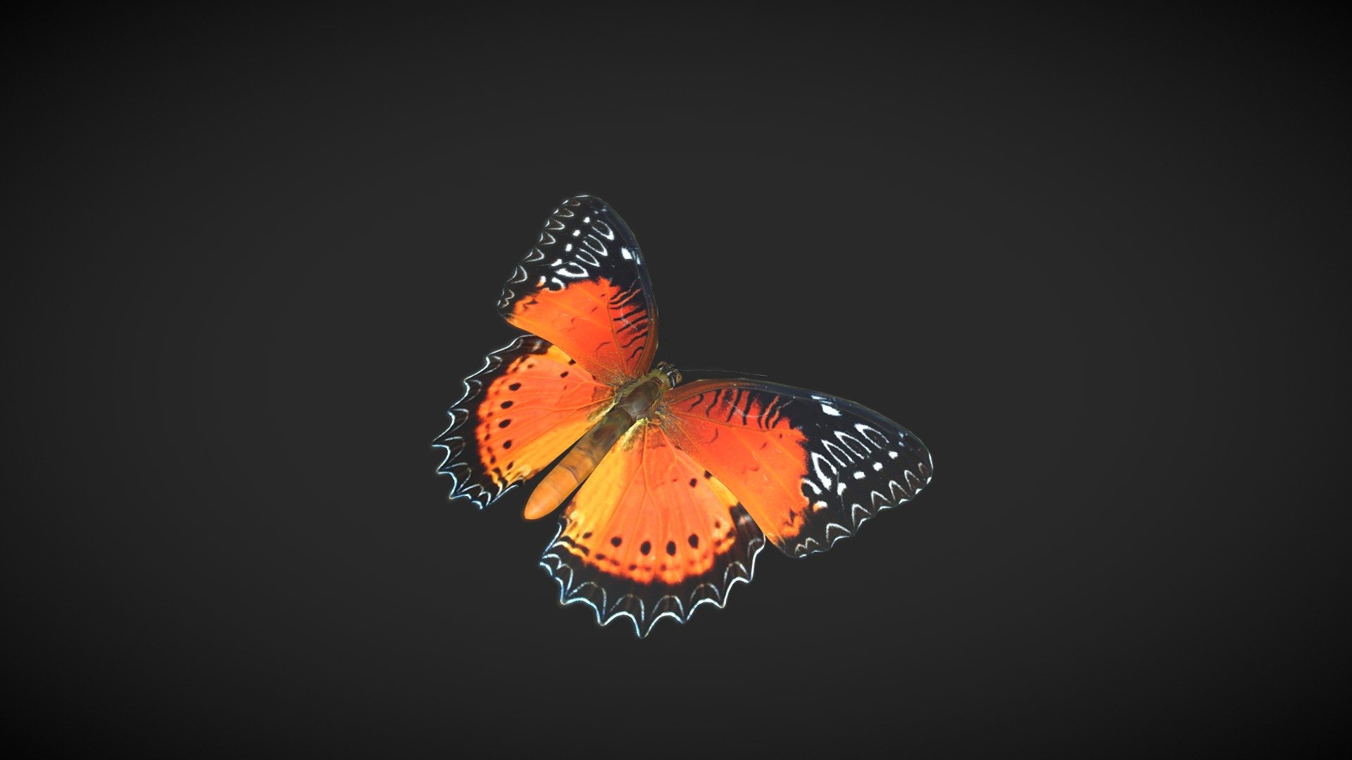 Red Lacewing 3d model